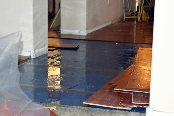Professional Flood Damage Repair technician working in Mount Victory, OH